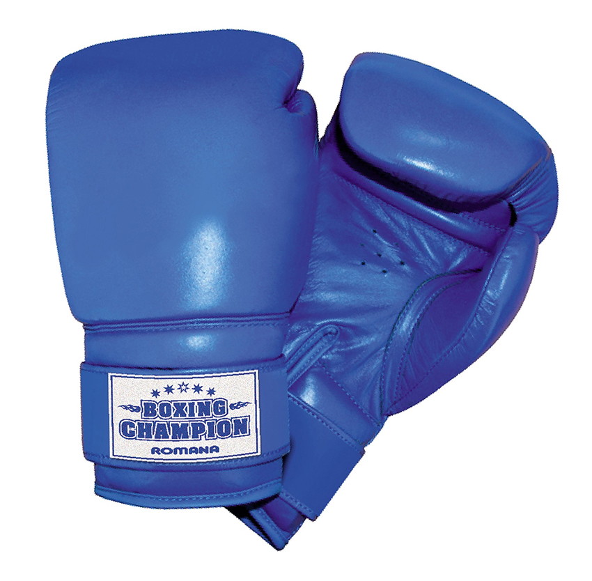 Детские боксерские перчатки Romana для детей 5-7 лет (4 унций) ДМФ-МК-01.70.03