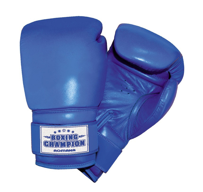 Детские боксерские перчатки Romana для детей 10-12 лет (8 унций) ДМФ-МК-01.70.02