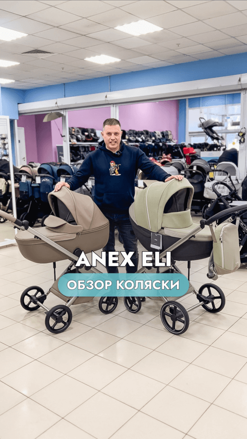 Обзор детской коляски Anex Eli