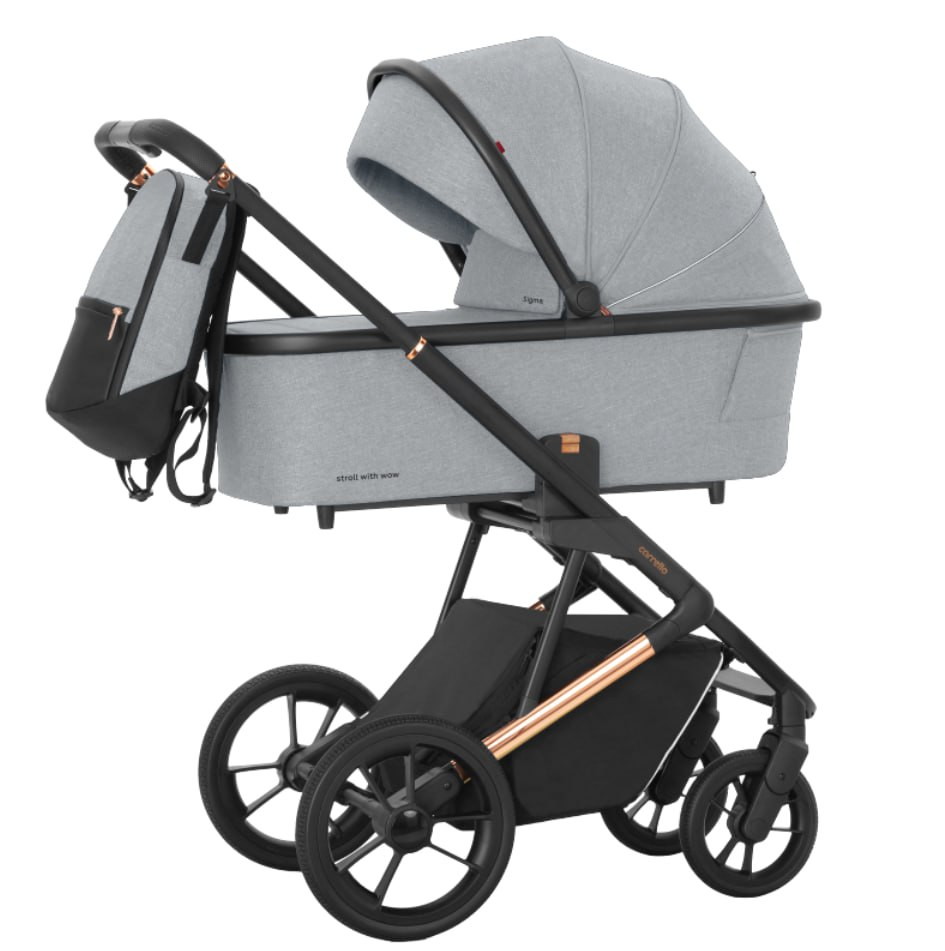 Детская коляска Carrello Sigma CRL-6509 2 в 1 2023 Fog Grey