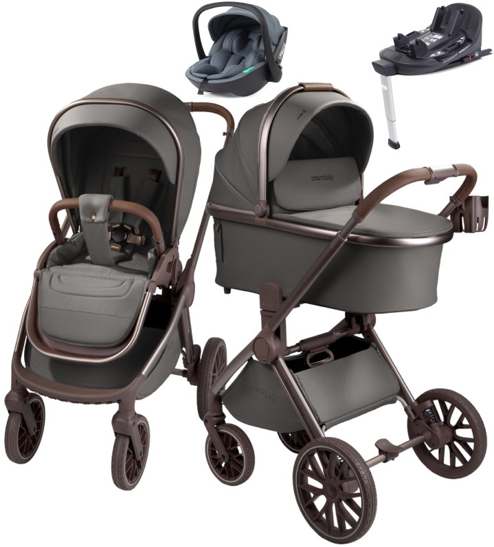 Детская коляска AmaroBaby Motus Premium Ecco Exclusive 4 в 1 с автокреслом Rant Miro Graphite и базой серый