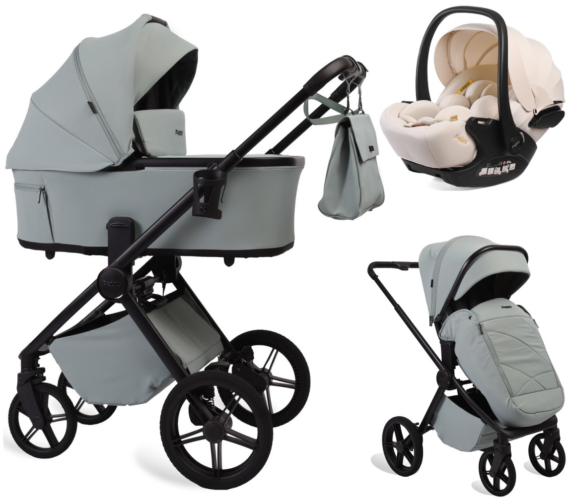 Детская коляска Peppy Monaco Plus 3 в 1 с автокреслом Verona Beige Mint (мятный), рама черная