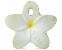 Игрушка-прорезыватель мини Oli&Carol Bali the Flower