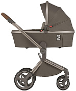 Детская коляска Anex Flo 2 в 1 Cesar