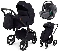 Детская коляска Rant Flex Therm Soft 3 в 1 с автокреслом Evomax Grey Gold Black
