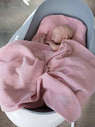 Плед-пеленка НаследникЪ Выжанова 120х120 08031 ЧЗ ягодный сорбет