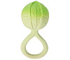 L-RATTLE-CABBAGE