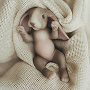 Игрушка Magic Manufactory коллекция Magic History Зайчонок 15 см серый