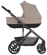 Детская коляска Anex Modu 2 в 1 Rooty