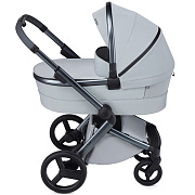Детская коляска Anex l/type 2 в 1 с аксессуарами frost