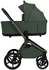 427782 Forest Green