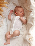 Боди НаследникЪ Выжанова Экрю 04016-11001 ЧЗ 62