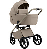 427783 Champagne Beige