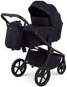Детская коляска Rant Flex Therm Soft 2 в 1 Gold Black