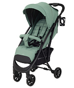Детская прогулочная коляска Rant Largo 2024 Forest Green