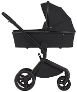Детская коляска Anex Flo 2 в 1 Lungo