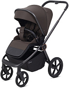 Детская прогулочная коляска Rant Flex Color RA118 Shine Brown