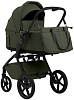 427636 New Dark Green