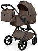 427801 Dark Beige