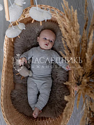 Ползунки НаследникЪ Выжанова НВ8002 ЧЗ светло-серый 56