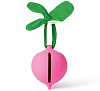 L-PACIFIER-RADISH