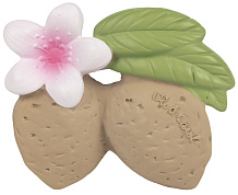 Игрушка-прорезыватель Oli&Carol Aly the Almond