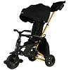427528 Black (Rub/Gold)