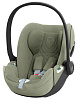 Sage Green Plus