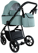 Детская коляска Pituso Tossa 2 в 1 TS/50/06 Pistachio Creme