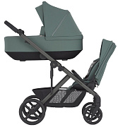 Коляска для погодок Anex Modu Greeny