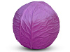 L-BALL-PURPLE-CABBAGE