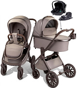 Детская коляска AmaroBaby Motus Premium Ecco Exclusive 4 в 1 с автокреслом Rant Miro Black и базой мокко