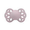 421267 Dusky Lilac