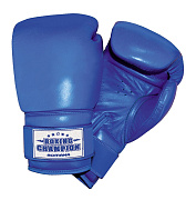 Детские боксерские перчатки Romana для детей 10-12 лет (8 унций) ДМФ-МК-01.70.05