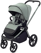 Детская прогулочная коляска Rant Flex Color RA118 Forest Green