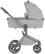 Детская коляска Anex Flo 2 в 1 Frossy