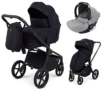 Детская коляска Rant Flex Therm Soft 3 в 1 с автокреслом Cruise Grey Gold Black