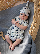 Песочник НаследникЪ Выжанова Панды 02007-02025 ЧЗ 62