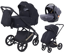 Детская коляска Rant Garda 3 в 1 с автокреслом Carry Pro Graphite Black