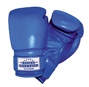 Детские боксерские перчатки Romana для детей 7-10 лет (6 унций) ДМФ-МК-01.70.04