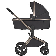 Детская коляска Anex Flo 2 в 1 Solo