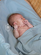 Плед-пеленка НаследникЪ Выжанова 105х120 Пн1 ментол
