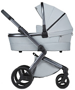 Детская коляска Anex l/type 2 в 1 lt-10t frost